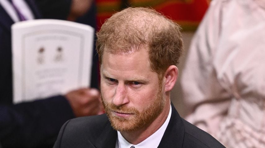 Prinz Harry, britischer Royal