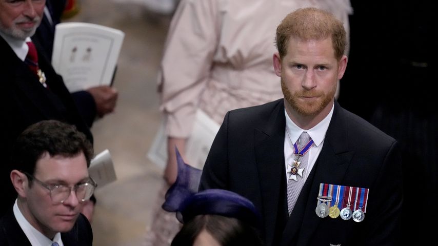 Experte sicher: Prinz Harry ist fertig mit dem Royal-Leben!