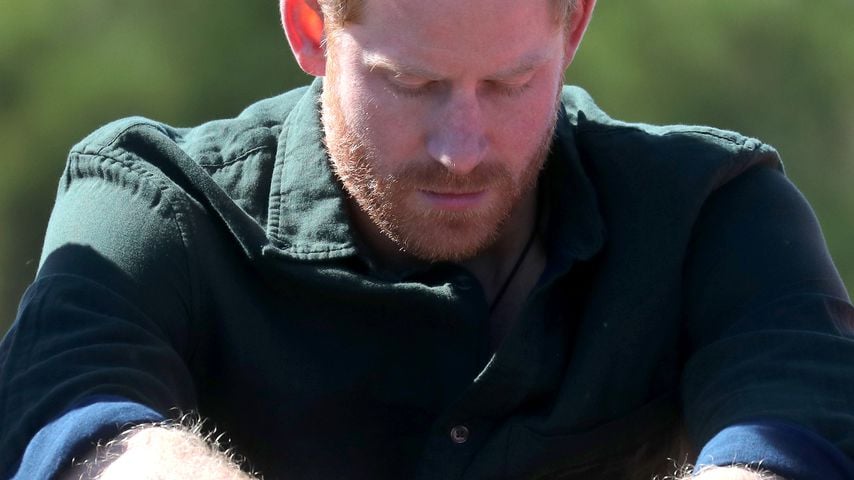 Prinz Harry in Südafrika