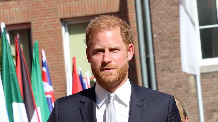 Versteht sich Prinz Harry als "Versöhner" der Königsfamilie?