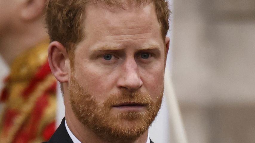 Für die Mülltonne? Prinz Harrys Buch verbucht Riesen-Pleite