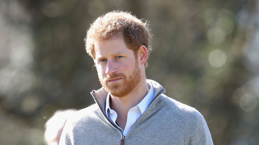 Prinz Harry beim Besuch des Epping Forest in Epping, März 2015