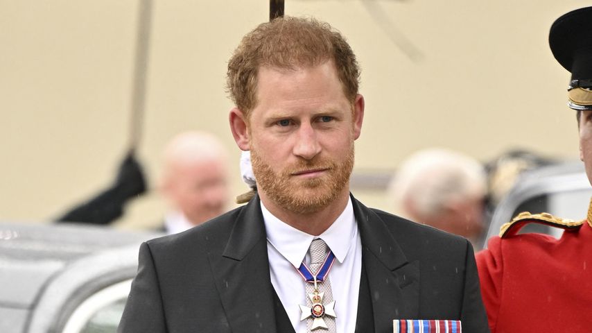 Kein Teil der Thronfolgeplanung: Prinz Harry soll es hassen!
