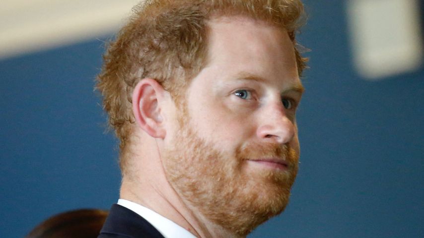 Prinz Harry bei den Vereinten Nationen in New York