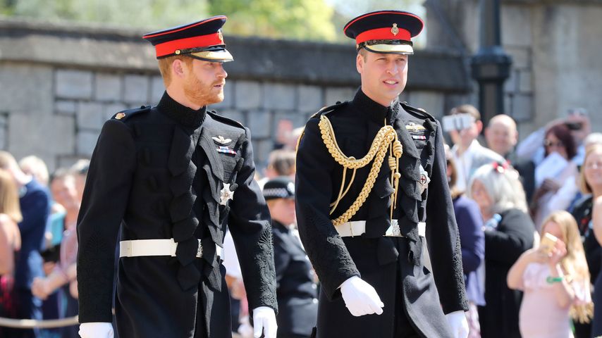 Prinz Harry und Prinz William im Mai 2018
