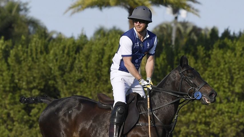 Prinz Harry bei der Royal Salute Polo Challenge im April 2024