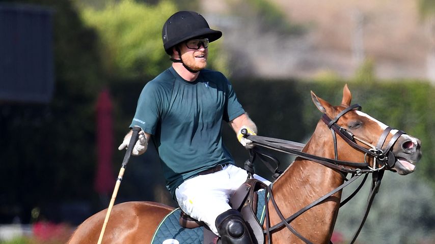 Prinz Harry in Santa Barbara