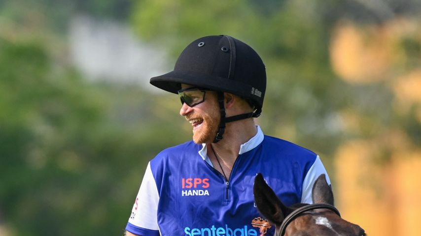 Prinz Harry spielt Polo