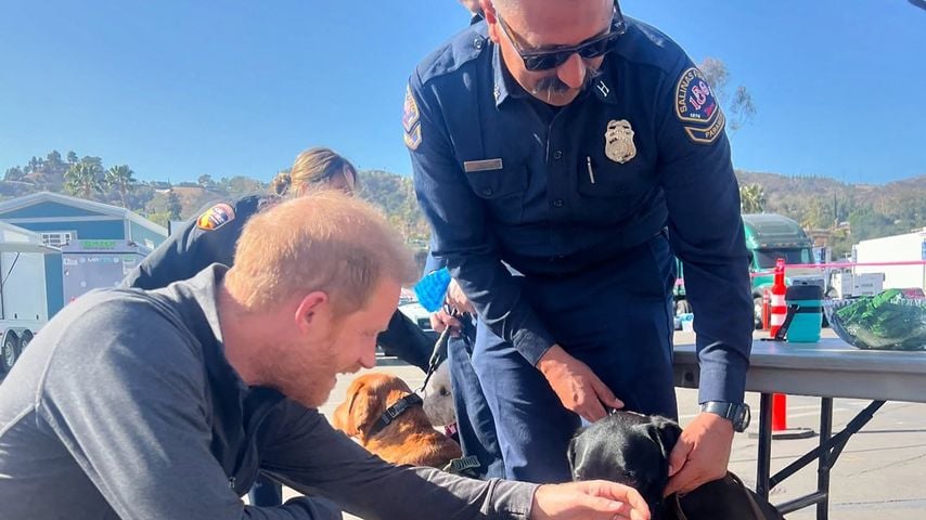 Prinz Harry bei der Feuerwehr von L.A.