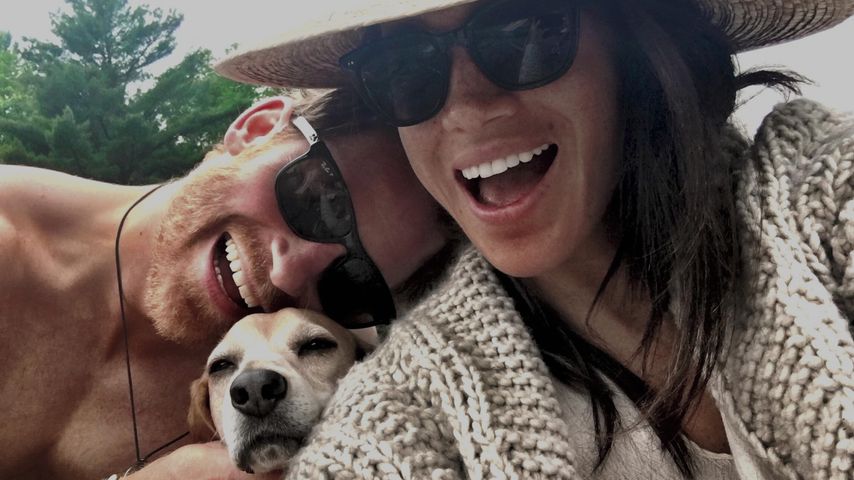 Prinz Harry, Herzogin Meghan und einer ihrer Hunde
