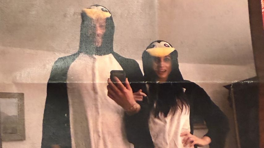 Prinz Harry und Herzogin Meghan als Pinguinpaar