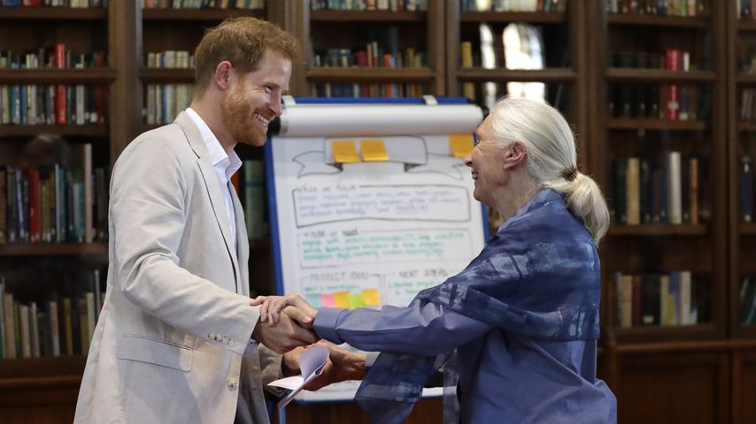Prinz Harry und Jane Goodall