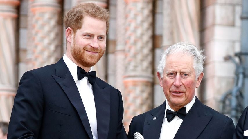 Gerücht entkräftet: Prinz Harry ist doch König Charles' Sohn