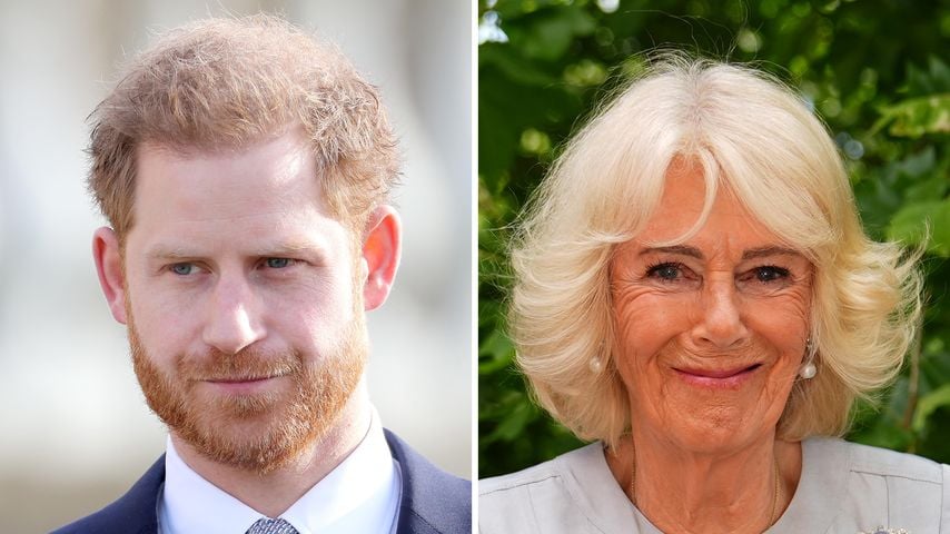 Zu Harrys Rückkehr in die UK: Königin Camilla soll helfen
