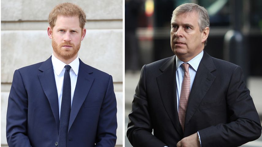 Verlieren Prinz Harry und Prinz Andrew nun noch mehr Titel?