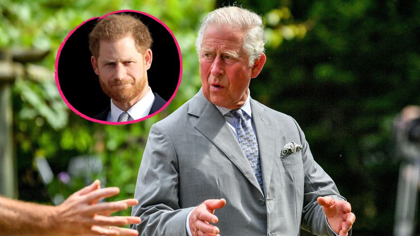 Verletzt: Prinz Charles will an Beziehung mit Harry arbeiten