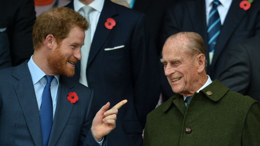 Prinz Harry und Prinz Philip bei der Rugby-Weltmeisterschaft, 2015