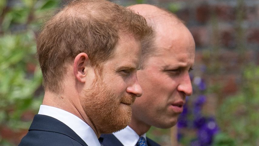 Prinz Harry und Prinz William