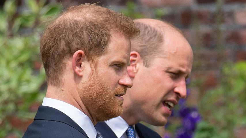 Prinz Harry und Prinz William, 2021