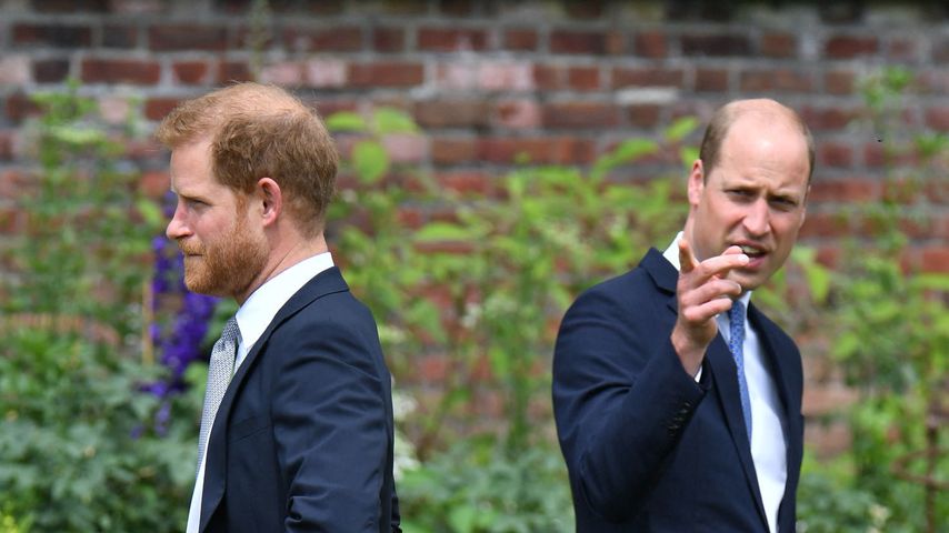 Eifersucht? So begann Prinz Harry und Prinz Williams Streit
