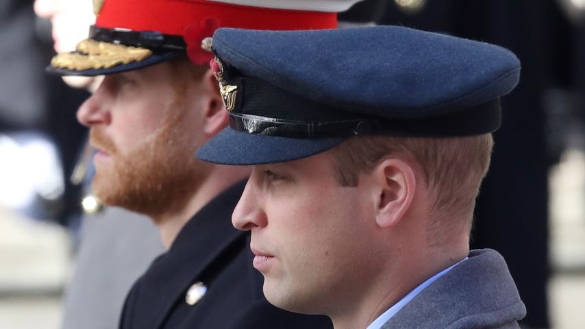 Prinz Harry und Prinz William