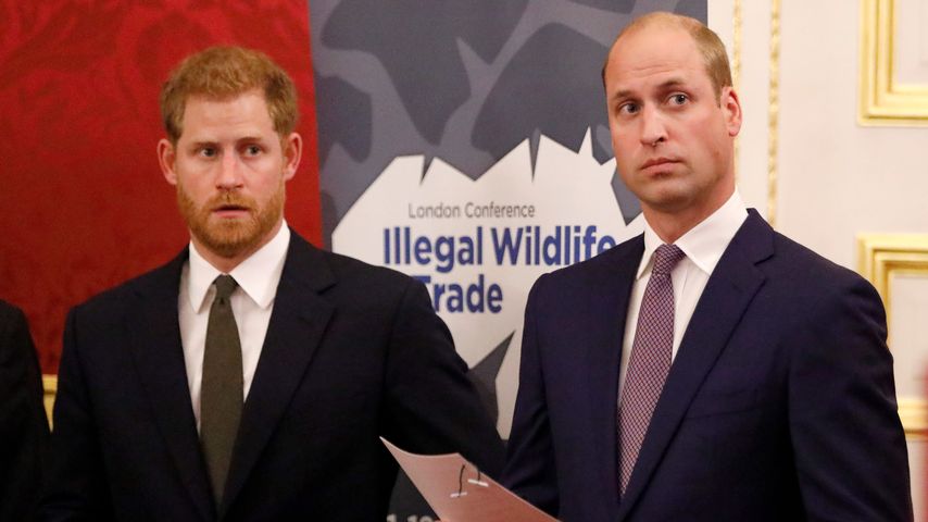 Kontaktabbruch zu Harry war für Prinz William der beste Weg