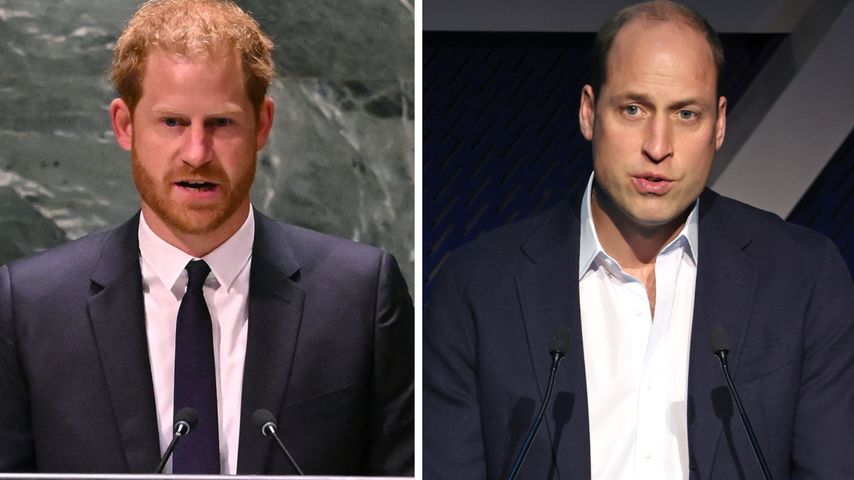 Fans mutmaßen: Hat Prinz Harry die Rede von William geklaut?