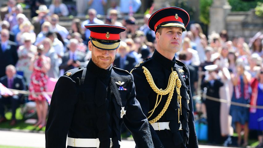Prinz Harry und Prinz William im Mai 2018