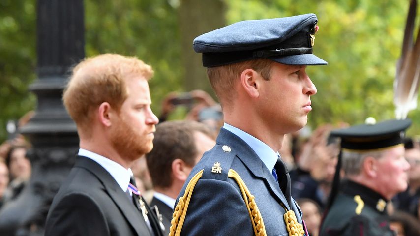 Bruder und Erzfeind: Für Prinz Harry ist William beides!