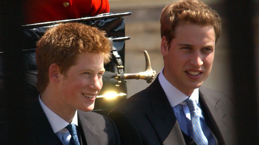 Prinz Harry und Prinz William im Juni 2003