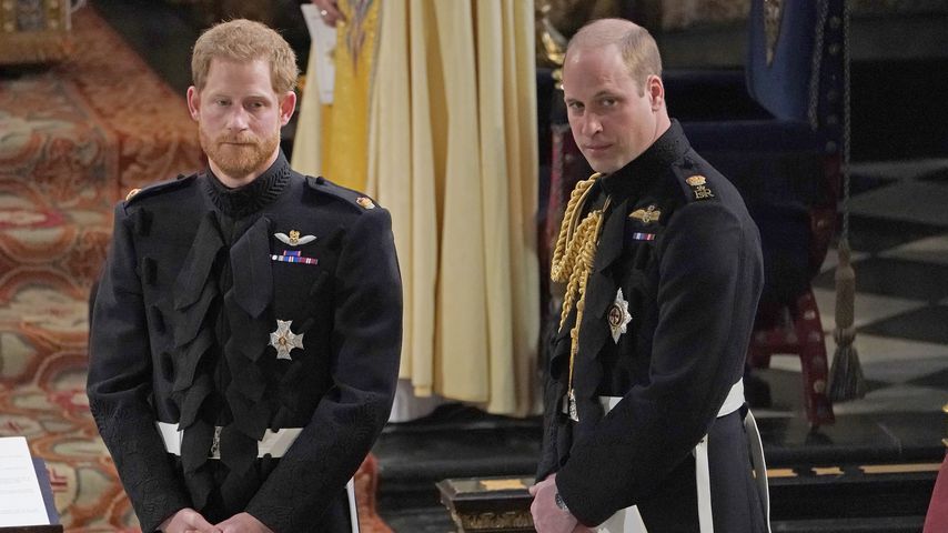 Für Diana-Statue: Harry und William treffen bald aufeinander