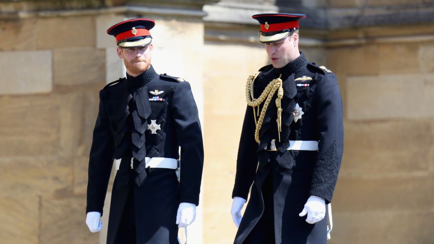 Prinz Harry und Prinz William 2018