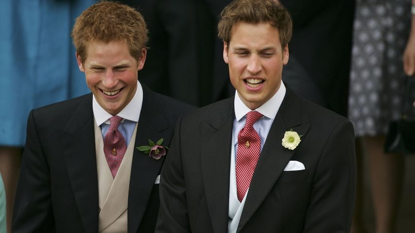 Prinz Harry und Prinz William, April 2005