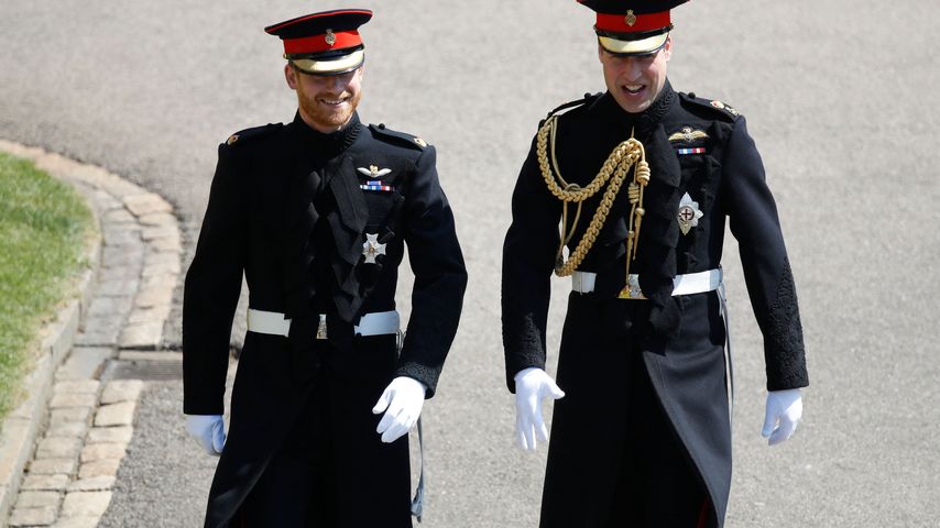 Versöhnung? Prinz Harry erwartet Entschuldigung von William