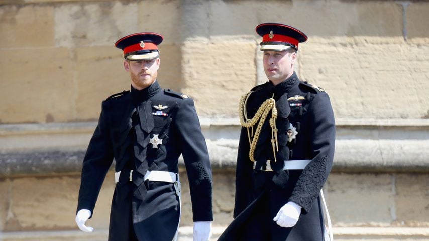 Prinz Harry und Prinz William