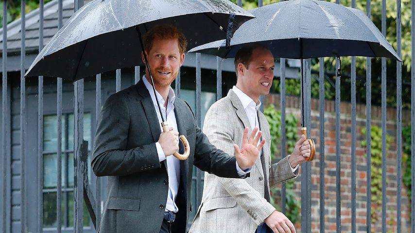 Wegen Megxit: Sprachen Harry und William zwei Monate nicht?