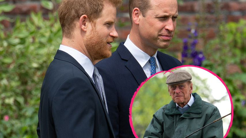 Neue Doku: Harry und William schwärmen von Prinz Philip (†)