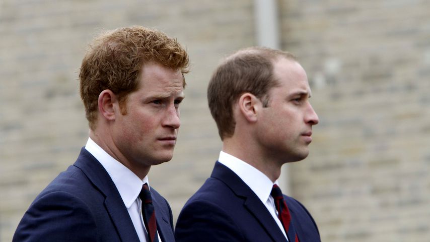 Zu Dianas 60. Geburtstag: Statement von Harry und William