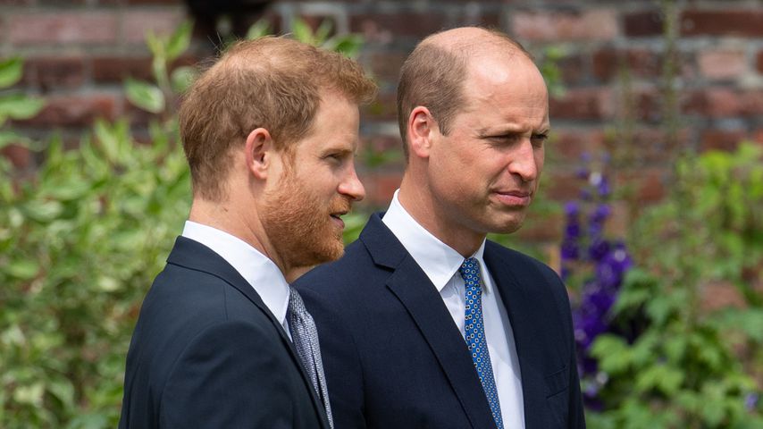 Prinz Harry und Prinz William im Juli 2021