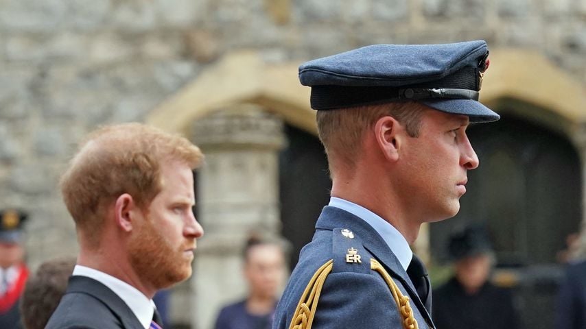 Vor Brüderzoff: Prinz Harry schwor, William zu unterstützen