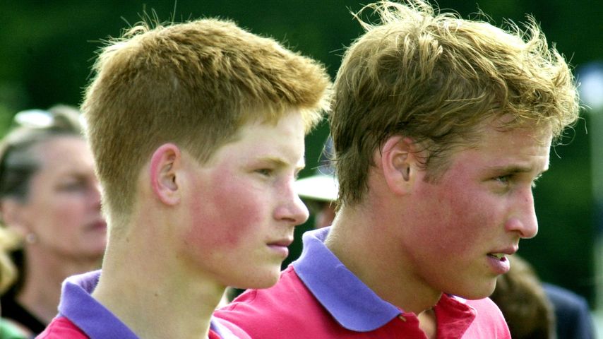 Prinz Harry und Prinz William im Juli 2001
