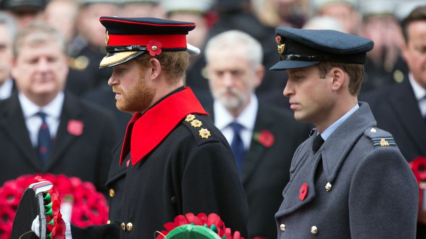 Prinz Harry und Prinz William
