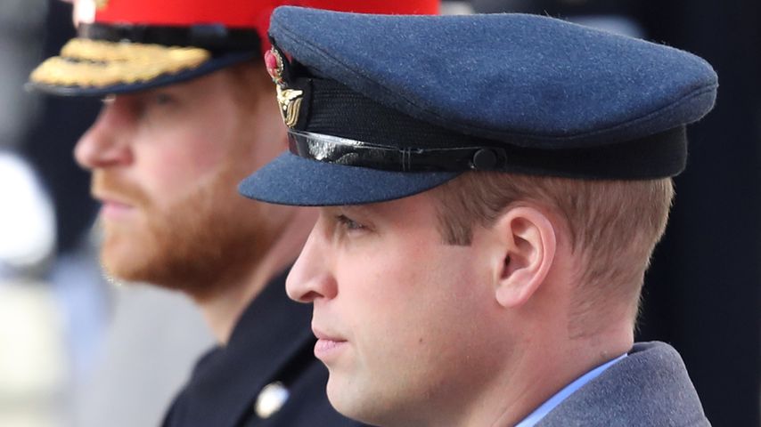 Prinz Harry und Prinz William im November 2018