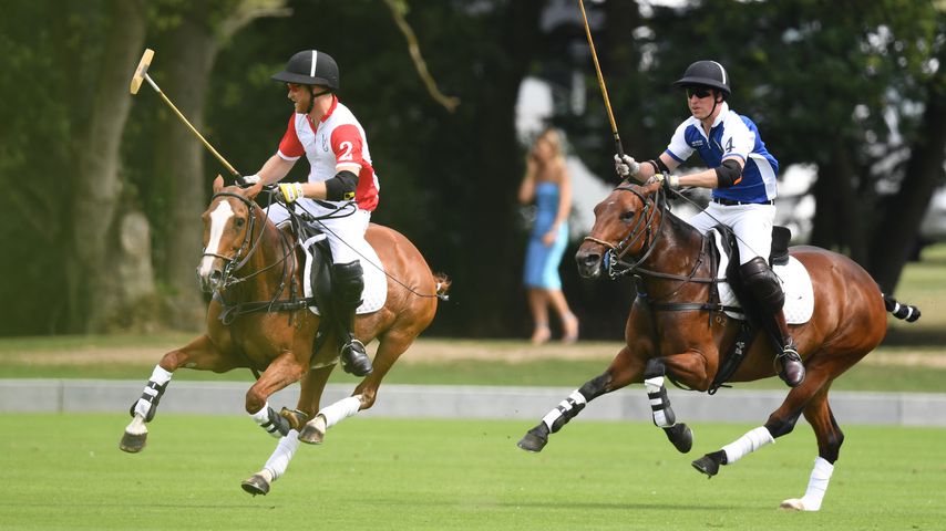 Prinz Harry und Prinz William beim King Power Royal Charity Polo Day