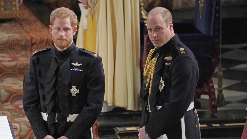 Dianas Skandal-Interview: Harry und William halten zusammen