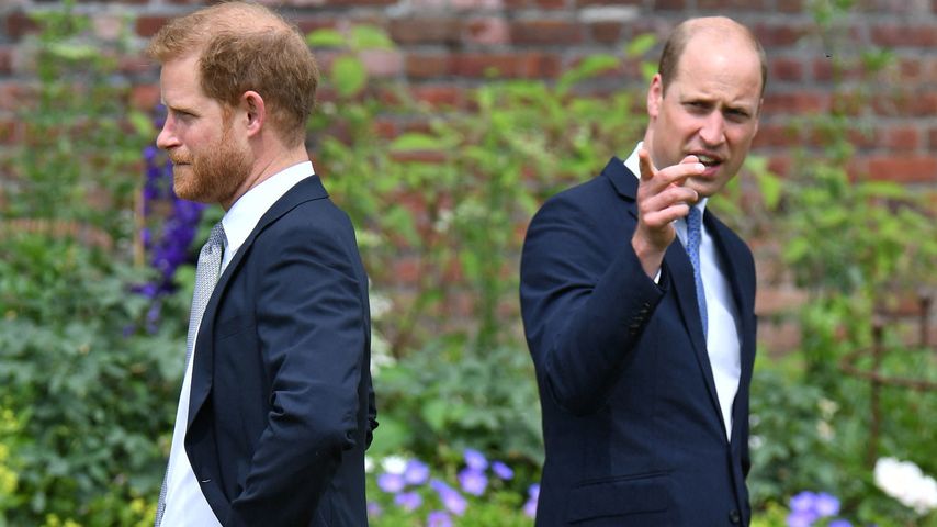 Prinz Harry und Prinz William, Juli 2021