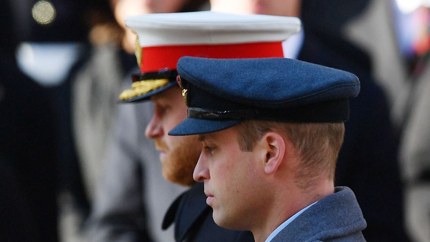 Prinz Harry und Prinz William im November 2019