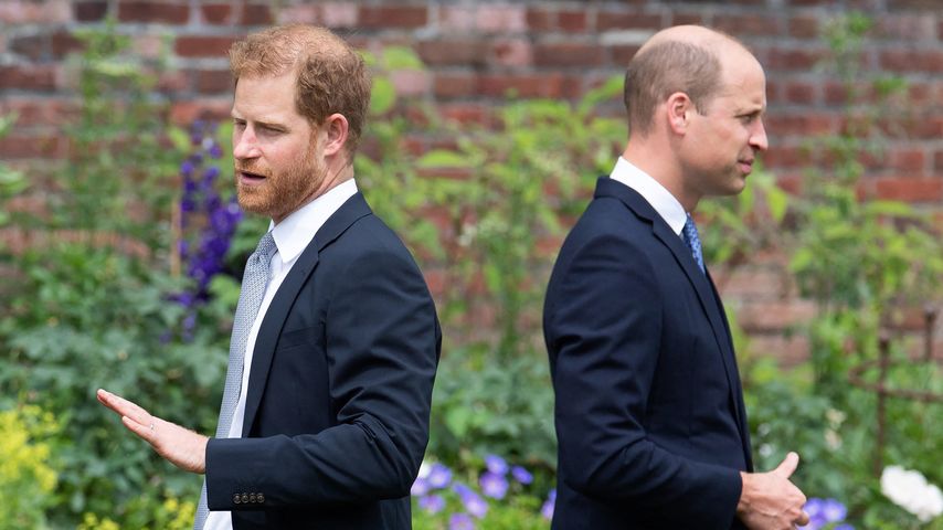 Prinz Harry und Prinz William im Juli 2021