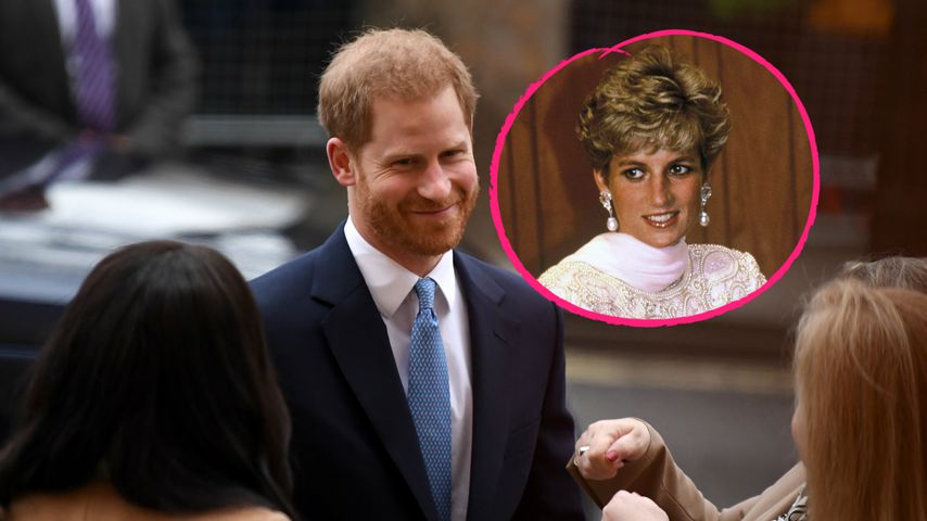 Wurde Prinz Harrys Rücktritt von Mutter Diana beeinflusst?