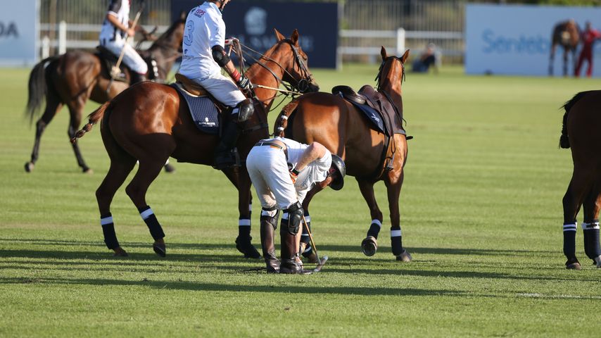 Peinliche Polo-Panne: Prinz Harry plumpst vom Pferd